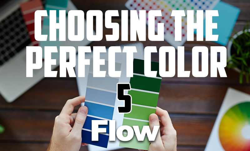 Choosing the Perfect Color #5